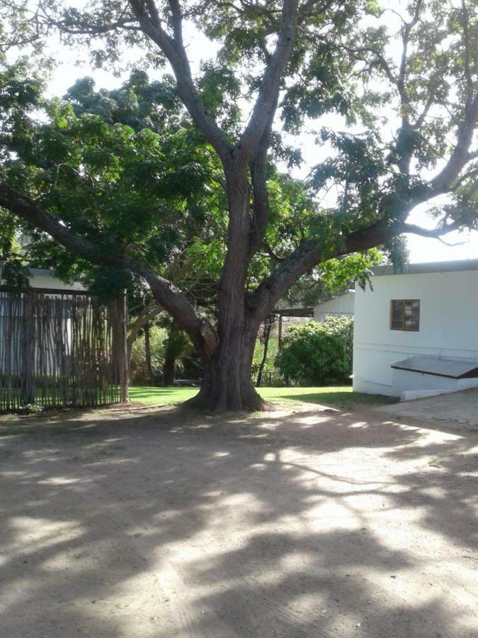 Guinea Fowl Villa Plettenberg Bay Luaran gambar