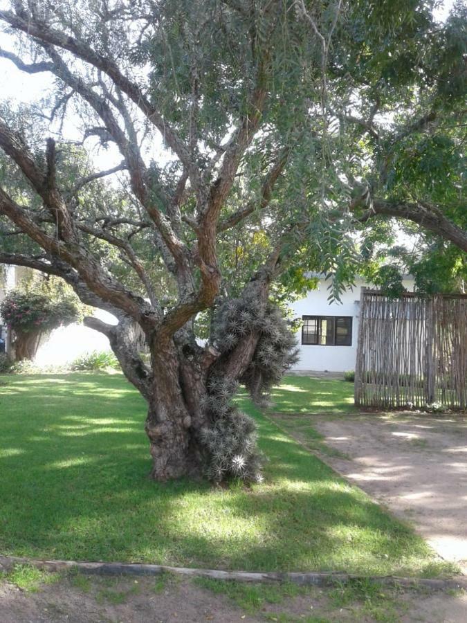 Guinea Fowl Villa Plettenberg Bay Luaran gambar